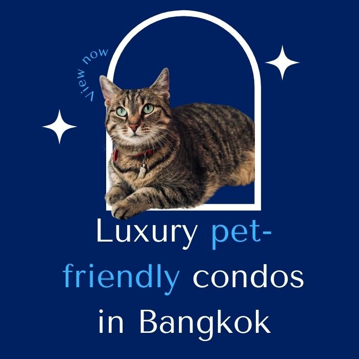Luxury pet-friendly condo and apartment for rent on AccomAsia