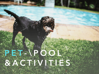 Pet pool and activities center in Bangkok near your accomodation