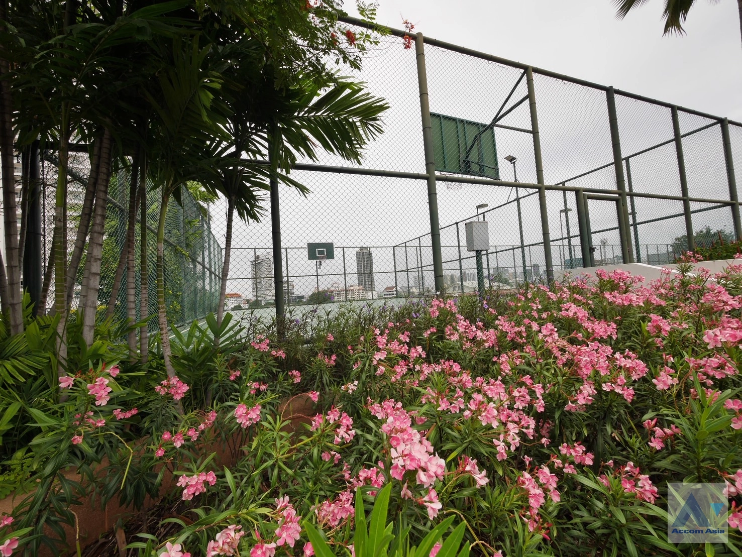 12 Tridhos City Marina - Condominium - Charoen Nakhon - Bangkok / Accomasia