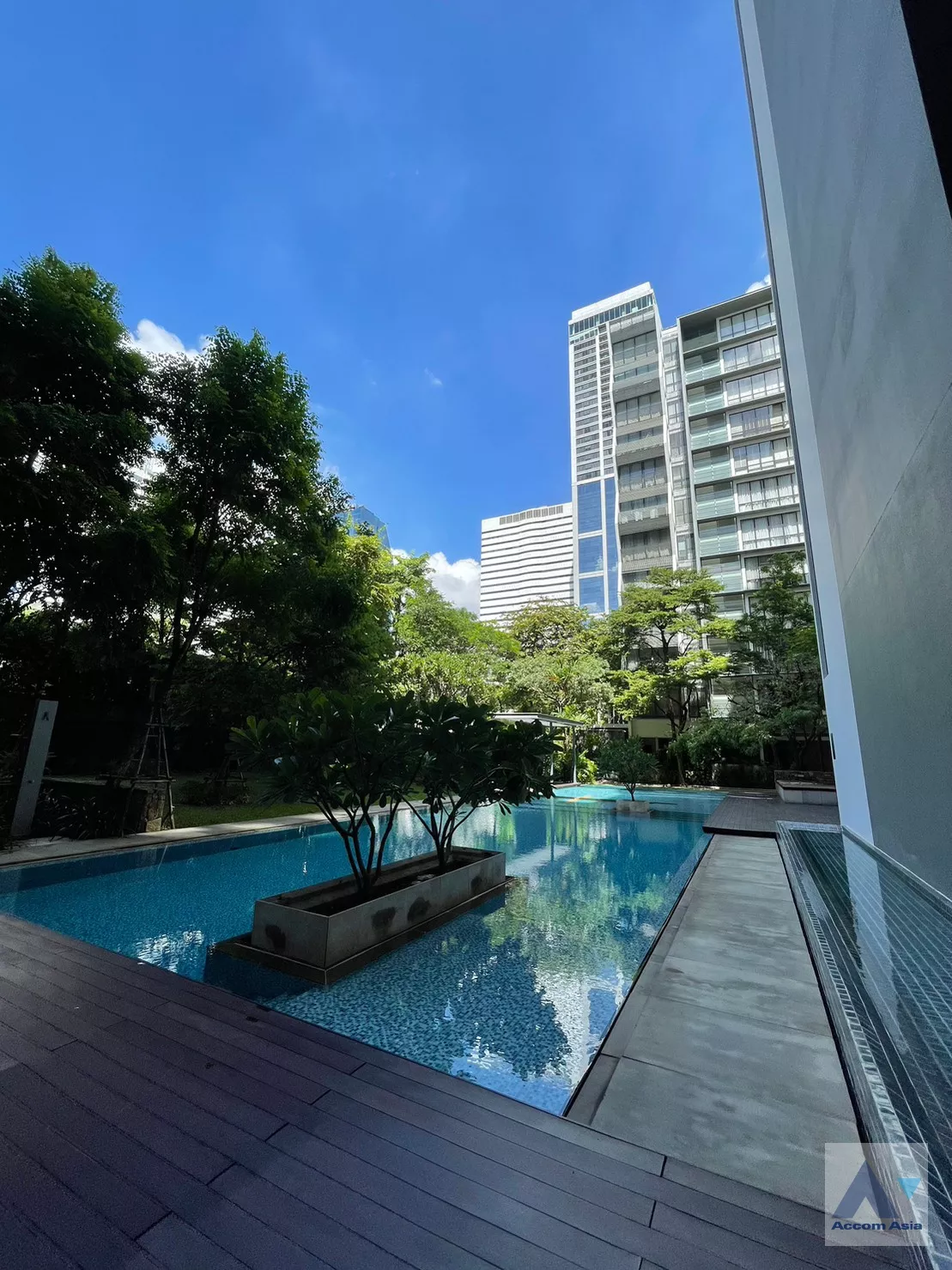  3 br Condominium For Rent in Sukhumvit ,Bangkok BTS Asok - MRT Sukhumvit at Domus 16 AA35972