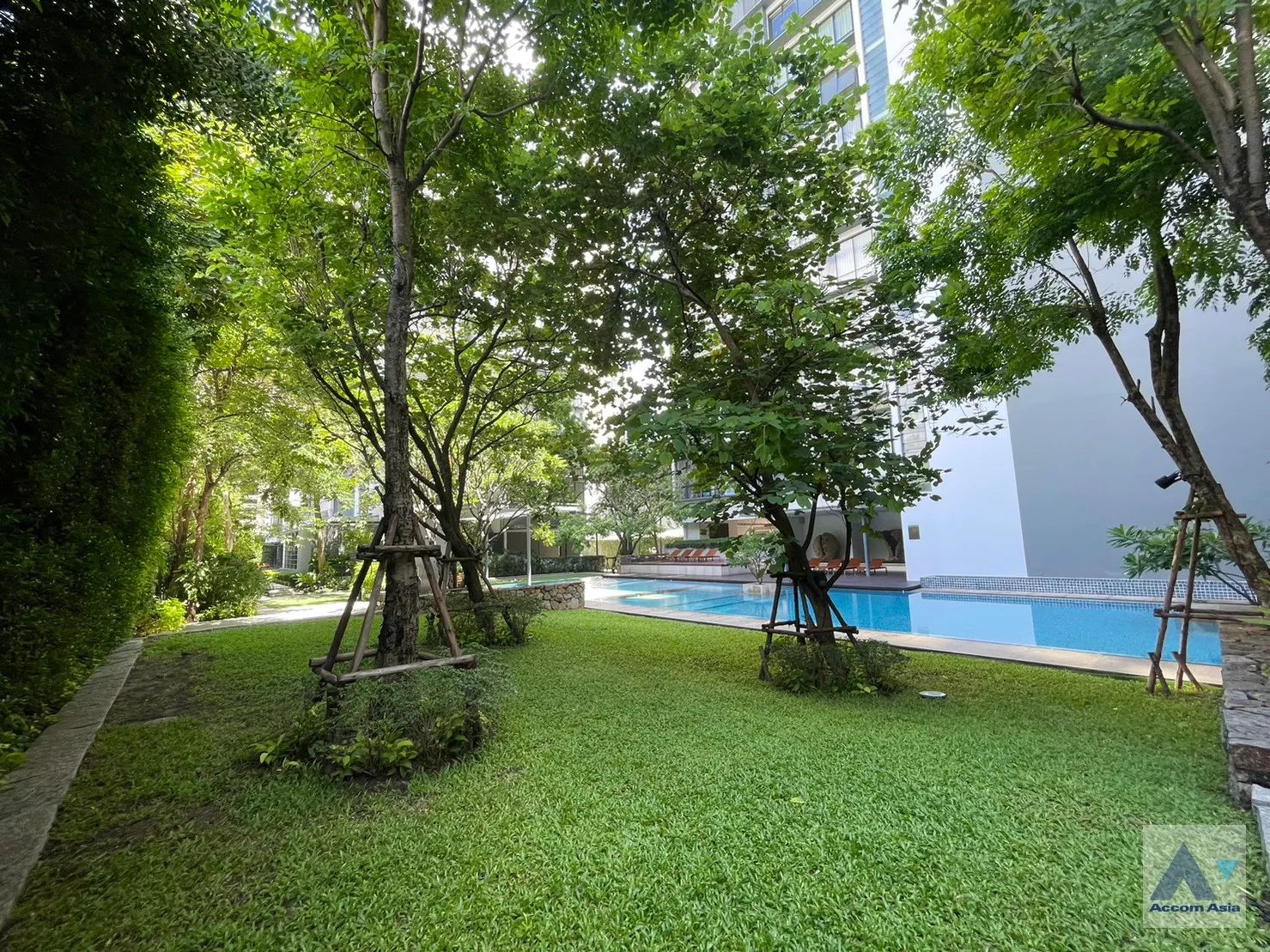  2 br Condominium For Rent in Sukhumvit ,Bangkok BTS Asok - MRT Sukhumvit at Domus 16 AA25829