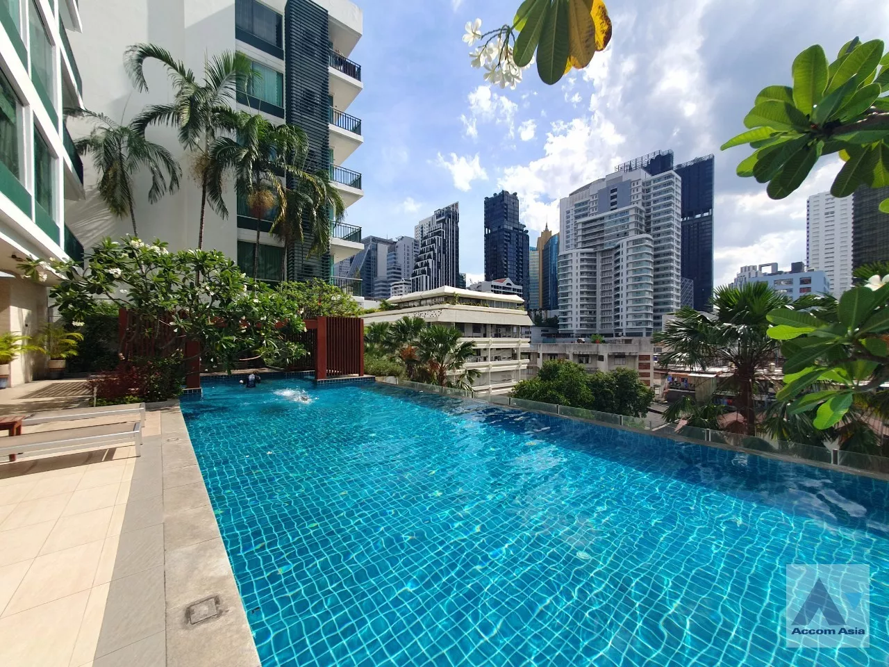  1 br Condominium For Rent in Sukhumvit ,Bangkok BTS Asok - MRT Sukhumvit at Wind Sukhumvit 23 AA35495