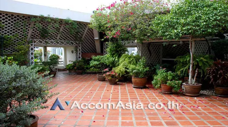  3 The Panache - Condominium - Sukhumvit - Bangkok / Accomasia