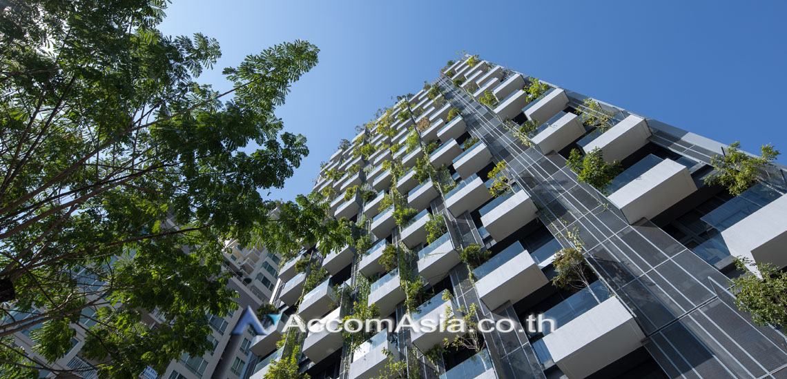  2 br Condominium For Rent in sukhumvit ,Bangkok  at Siamese Exclusive 31 AA31270