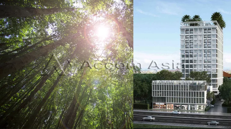  2 Treetops  Pattaya - Condominium - Thappraya - Chon Buri / Accomasia