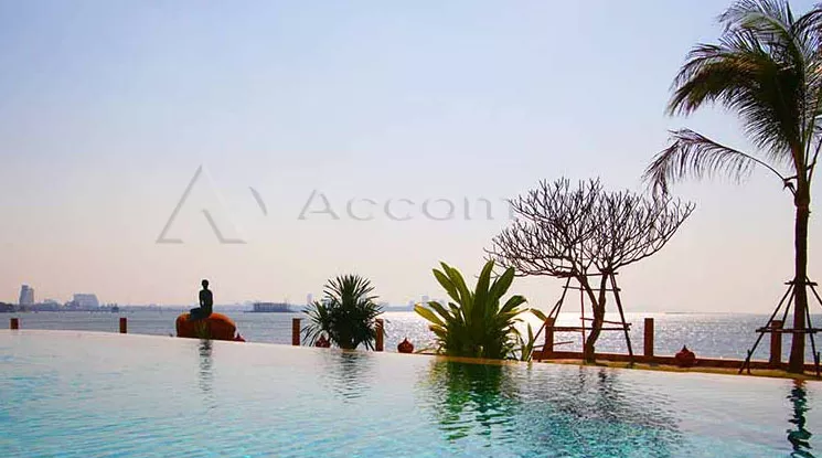 6 Paradise Ocean view condo - Condominium - Banglamung - Chon Buri / Accomasia