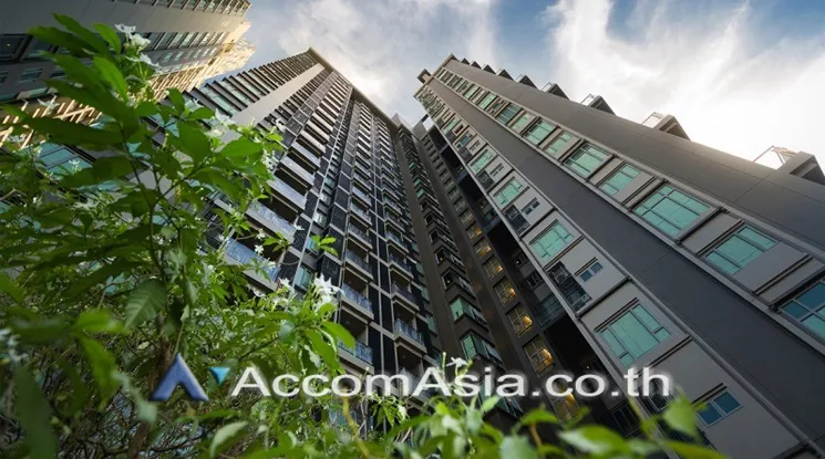  2 br Condominium For Rent in Sukhumvit ,Bangkok BTS Thong Lo at The Crest Sukhumvit 34 AA36056