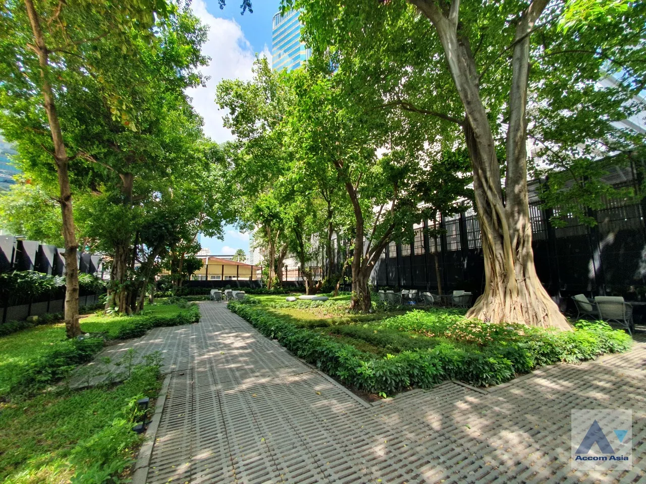  1 br Condominium For Rent in Sukhumvit ,Bangkok BTS Asok - MRT Sukhumvit at Ashton Asoke AA39978