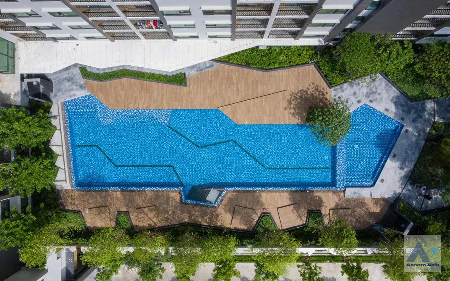  2 Kensington Sukhumvit-Theparak - Condominium - Thepharak - Samutprakan / Accomasia