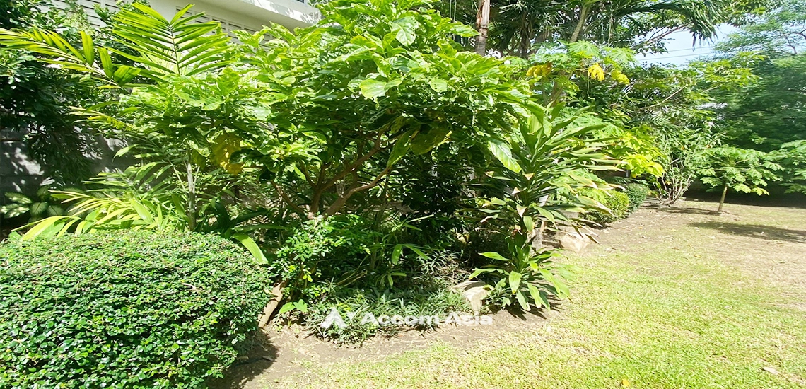 30  3 br House For Sale in Sukhumvit ,Bangkok BTS Thong Lo 910003