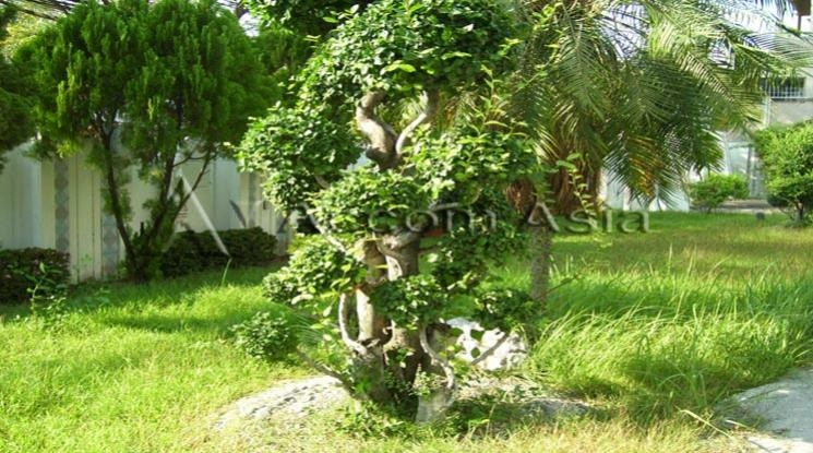 8  House For Rent in Sukhumvit ,Bangkok BTS Phrom Phong 1719996