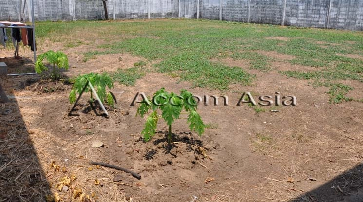 6  Land For Sale in Sukhumvit ,Bangkok BTS Ekkamai 13000680