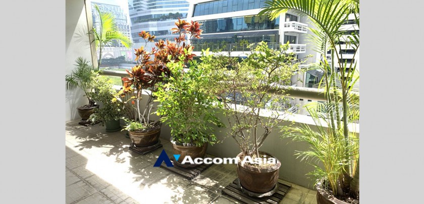 11  2 br Condominium for rent and sale in Ploenchit ,Bangkok BTS Chitlom at Somkid Gardens 13001993