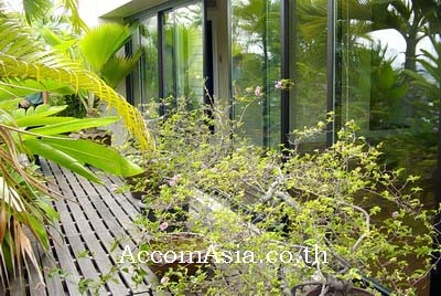 8  3 br Condominium For Rent in Ploenchit ,Bangkok BTS Ploenchit at Baan Ploenchit 20998