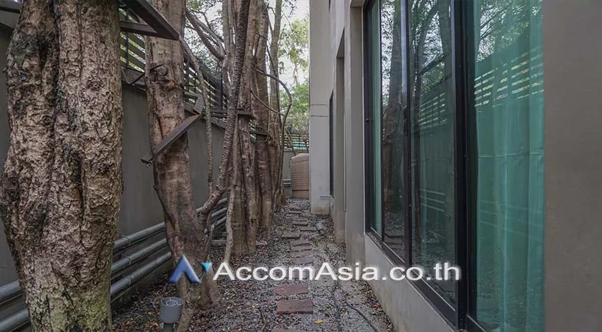 Private Swimming Pool |  3 Bedrooms  House For Rent in Sukhumvit, Bangkok  near BTS Thong Lo (AA11532)