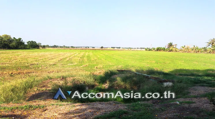  1  Land For Sale in Sukhumvit ,Pathum Thani  AA12926