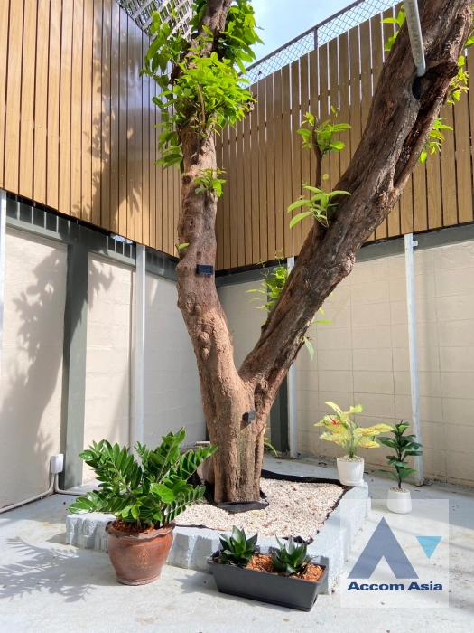 13  6 br Townhouse For Rent in Sukhumvit ,Bangkok BTS Ekkamai AA16079