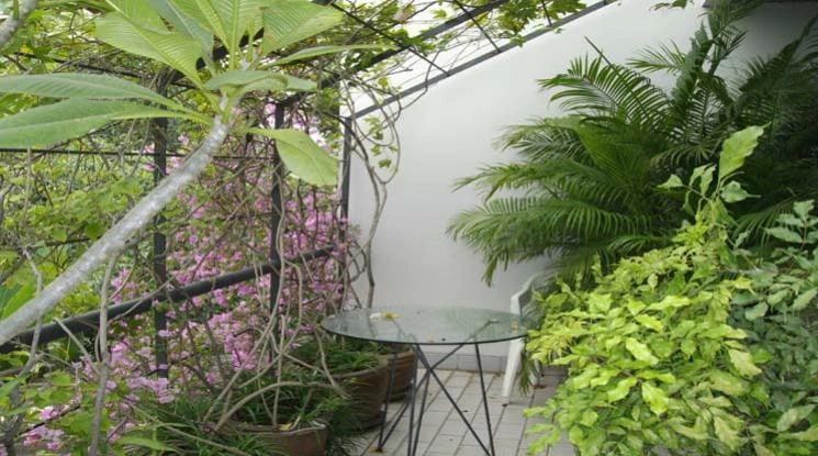 5  2 br Apartment For Rent in Sathorn ,Bangkok BTS Sala Daeng - MRT Lumphini at Homely Atmosphere - Walk to MRT. 10277