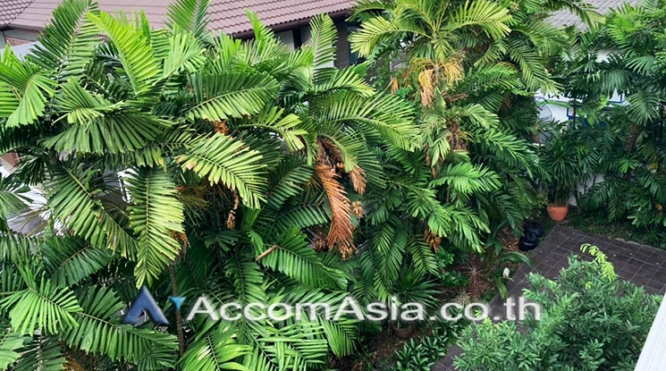 14  4 br House For Rent in Sukhumvit ,Bangkok BTS Phra khanong AA23169