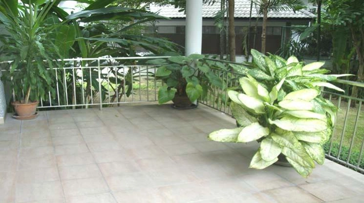 unitPet friendly |  2 Bedrooms  Apartment For Rent in Sukhumvit, Bangkok  near BTS Phrom Phong (14065)