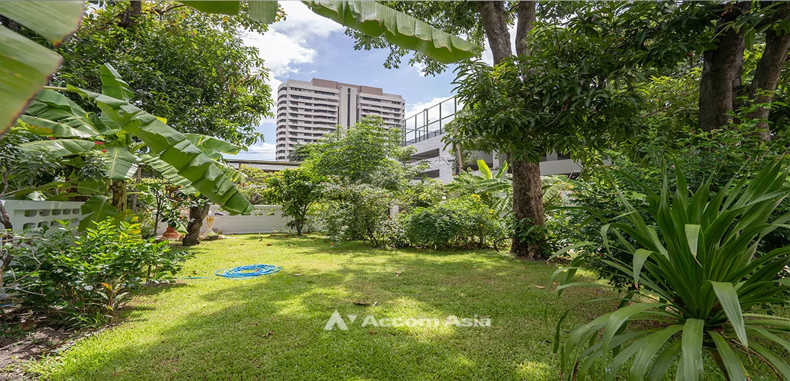 unitPet friendly |  3 Bedrooms  House For Rent & Sale in Sukhumvit, Bangkok  near BTS Asok - MRT Sukhumvit (AA31766)