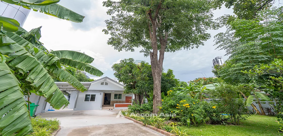 unitPet friendly |  3 Bedrooms  House For Rent & Sale in Sukhumvit, Bangkok  near BTS Asok - MRT Sukhumvit (AA31766)