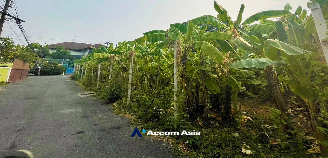  1  Land For Sale in Sukhumvit , BTS Phra khanong AA34801