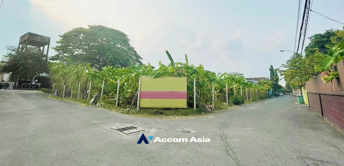  2  Land For Sale in Sukhumvit , BTS Phra khanong AA34801
