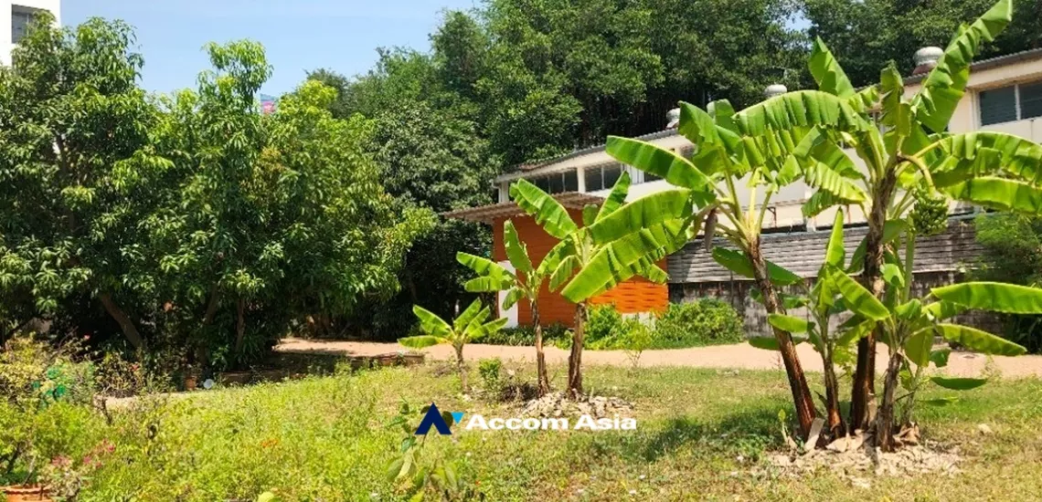 8  5 br House For Rent in Bang Na ,Bangkok BTS Udomsuk AA34963