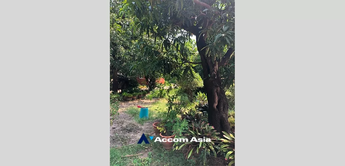 10  5 br House For Rent in Bang Na ,Bangkok BTS Udomsuk AA34963