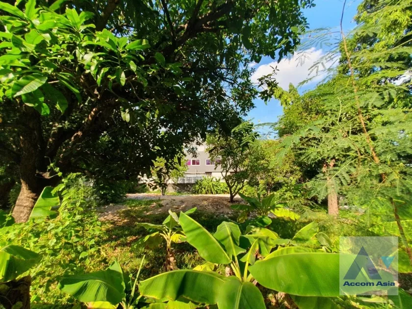  Land For Sale in Sukhumvit, Bangkok  near BTS Phra khanong (AA35353)