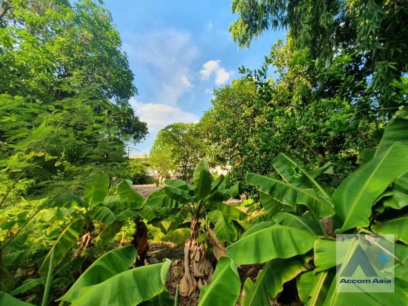  1  Land For Sale in Sukhumvit ,Bangkok BTS Phra khanong AA35353