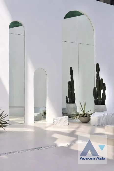 11  12 br Shophouse For Rent in Ploenchit ,Bangkok  AA36206