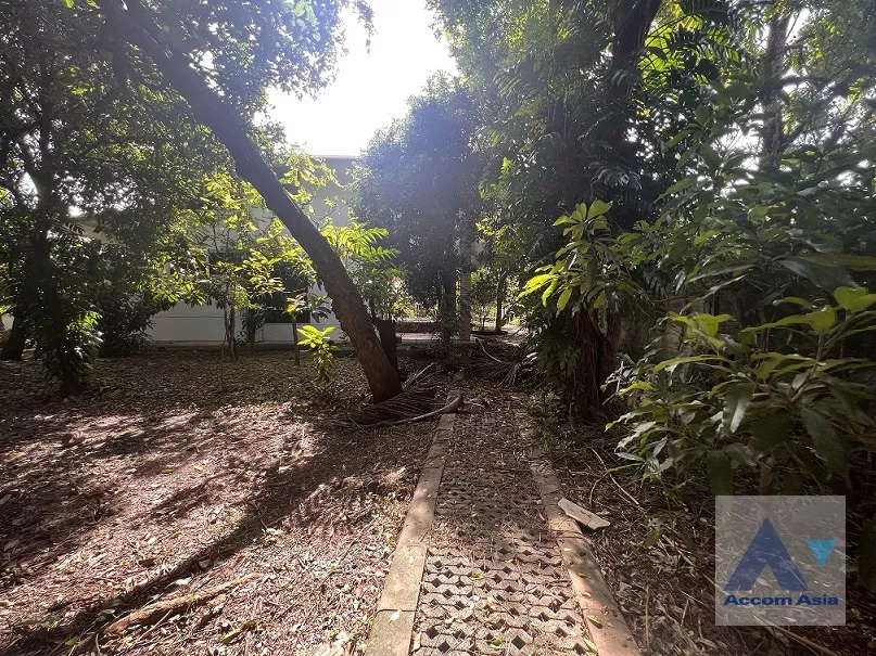 6  House For Rent in Sukhumvit ,Bangkok BTS Ekkamai AA36548