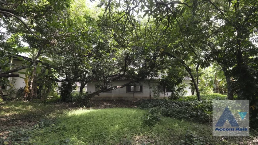 41  House For Rent in Sukhumvit ,Bangkok BTS Ekkamai AA36548