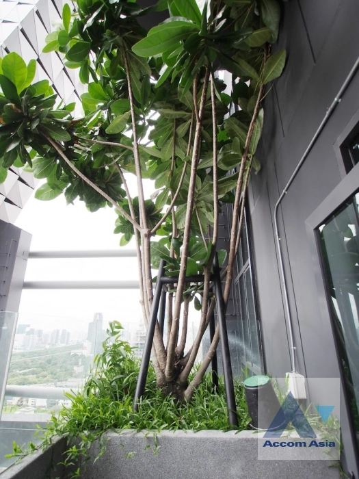 11  1 br Condominium For Rent in  ,Bangkok BTS Chitlom at Q Chidlom - Phetchaburi AA36619