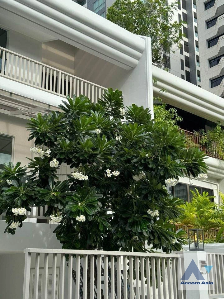 16  3 br House For Sale in Sukhumvit ,Bangkok BTS Phrom Phong AA36898