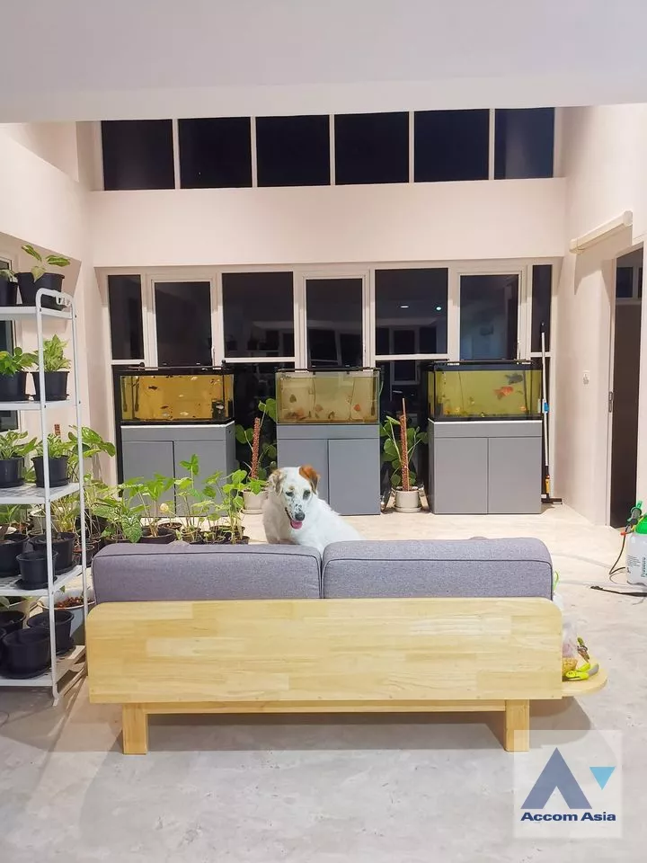 Home Office |  3 Bedrooms  Townhouse For Rent in Sukhumvit, Bangkok  near BTS Udomsuk (AA37932)