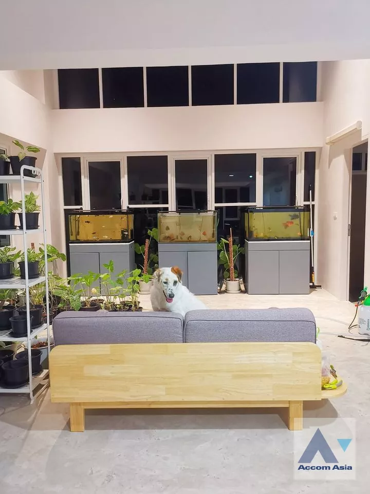 unitHome Office |  3 Bedrooms  Townhouse For Rent in Sukhumvit, Bangkok  near BTS Udomsuk (AA37932)