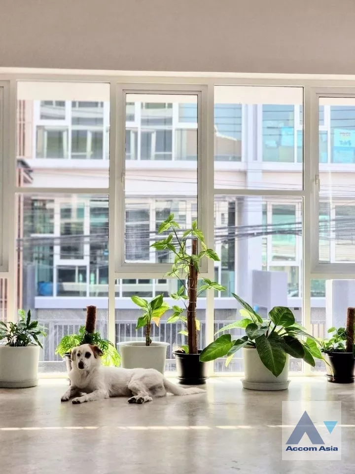 4  3 br Townhouse For Rent in Sukhumvit ,Bangkok BTS Udomsuk at Hof UdomSuk AA37932