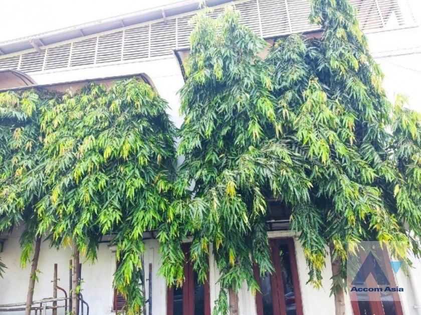 25  3 br Townhouse For Sale in Bang Na ,Bangkok BTS Udomsuk AA39054