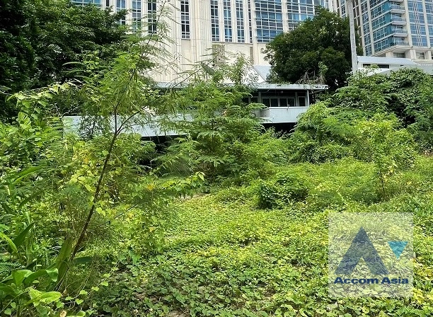  2  3 br House For Rent in Ploenchit ,Bangkok BTS Ploenchit AA40359