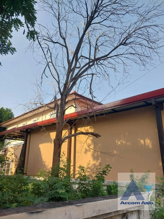 16  3 br House for rent and sale in Phaholyothin ,Bangkok  at K.C. Park View 3 AA40635