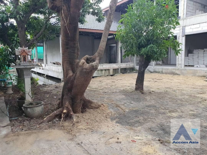 12  8 br House For Sale in Sukhumvit ,Bangkok BTS Thong Lo AA41740