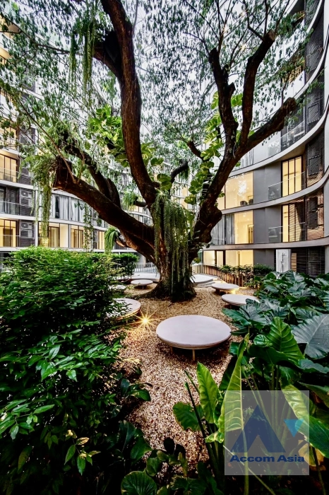 35  3 br Condominium for rent and sale in Sukhumvit ,Bangkok BTS Asok at Fynn Asoke AA43535