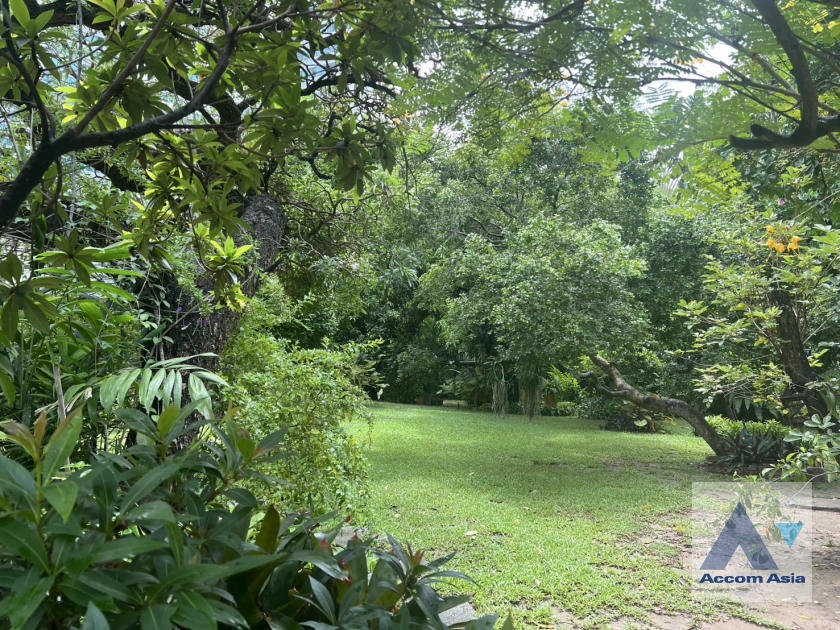  2  2 br House For Rent in Sukhumvit ,Bangkok BTS Asok at House in Compound AA43897