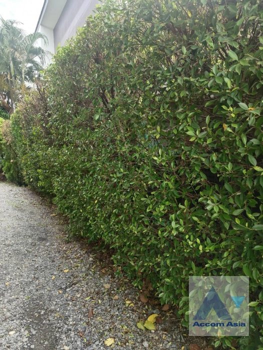 19  House for rent and sale in Phaholyothin ,Bangkok  AA43956