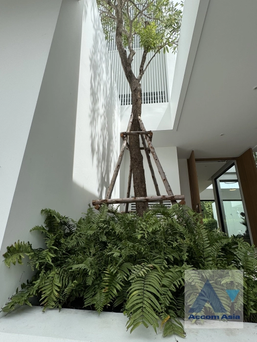 6  4 br House For Rent in Lat Phrao ,Bangkok  AA44047