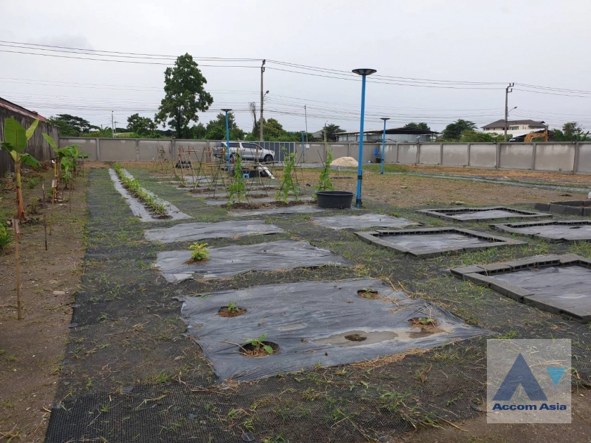 unit Land For Rent in Pattanakarn, Bangkok  (AA44102)