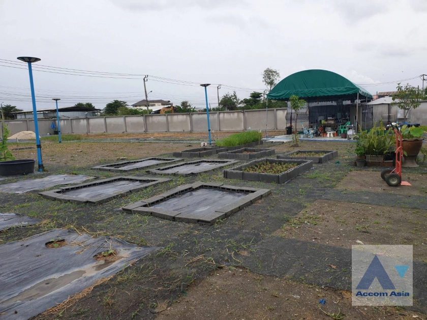 5  Land For Rent in Pattanakarn ,Bangkok  AA44102